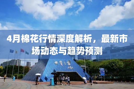 4月棉花行情深度解析，最新市场动态与趋势预测