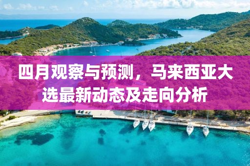 四月观察与预测，马来西亚大选最新动态及走向分析