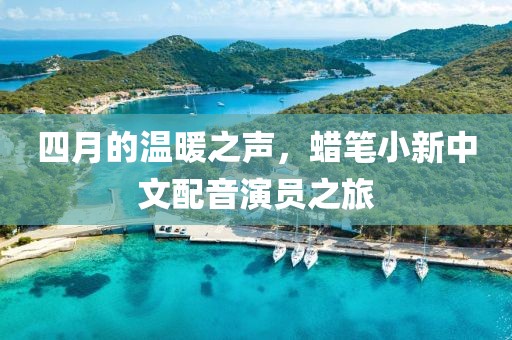 四月的温暖之声，蜡笔小新中文配音演员之旅