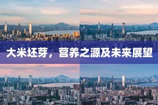 大米坯芽，营养之源及未来展望