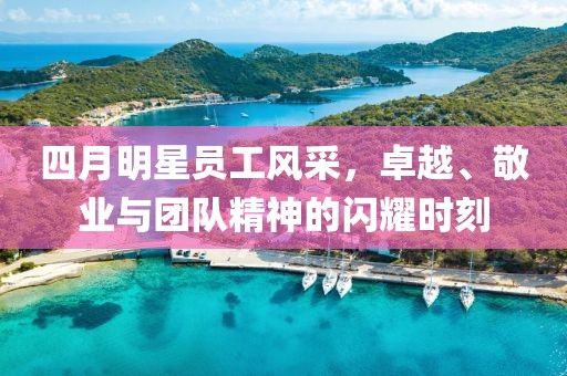 四月明星员工风采，卓越、敬业与团队精神的闪耀时刻