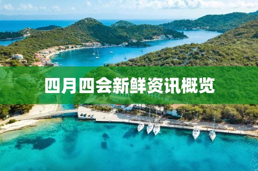四月四会新鲜资讯概览