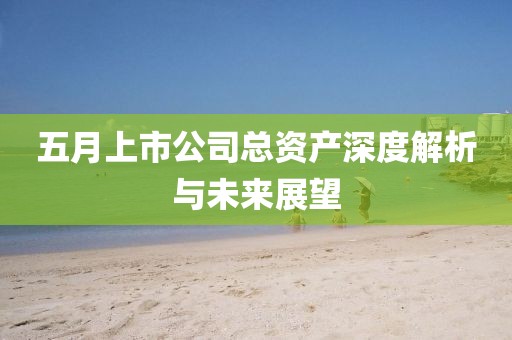 五月上市公司总资产深度解析与未来展望