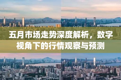 五月市场走势深度解析，数字视角下的行情观察与预测
