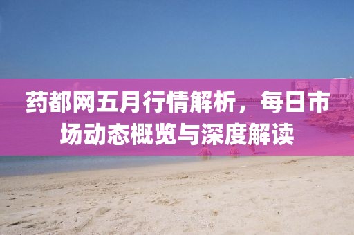 药都网五月行情解析，每日市场动态概览与深度解读