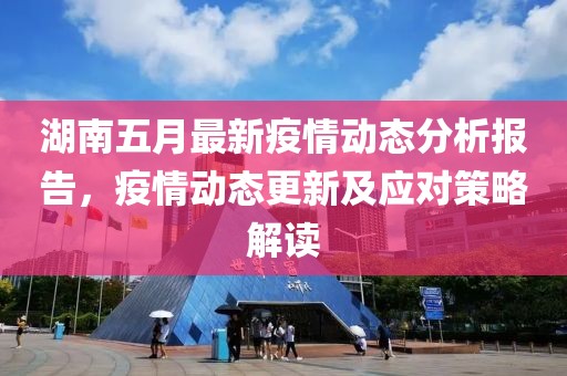湖南五月最新疫情动态分析报告，疫情动态更新及应对策略解读