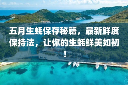 五月生蚝保存秘籍，最新鲜度保持法，让你的生蚝鲜美如初！