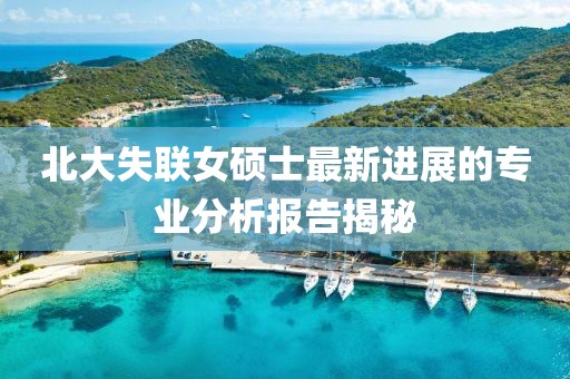 北大失联女硕士最新进展的专业分析报告揭秘