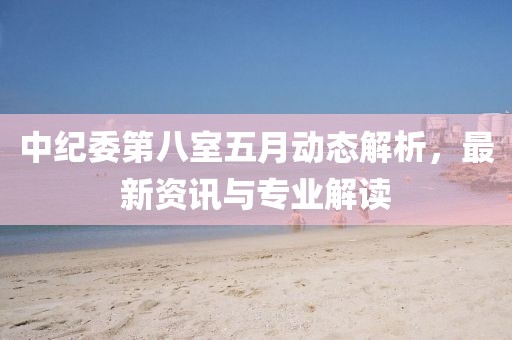 中纪委第八室五月动态解析，最新资讯与专业解读