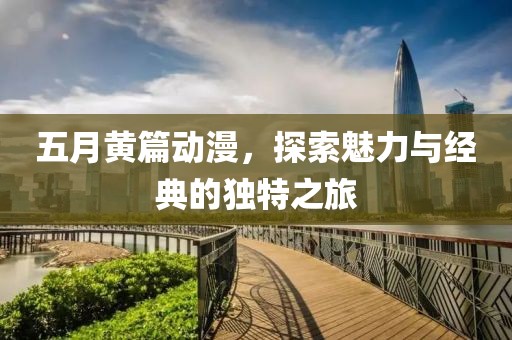 五月黄篇动漫，探索魅力与经典的独特之旅