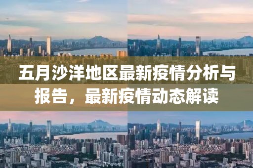 五月沙洋地区最新疫情分析与报告，最新疫情动态解读