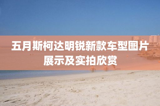 五月斯柯达明锐新款车型图片展示及实拍欣赏