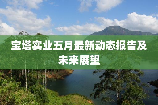宝塔实业五月最新动态报告及未来展望