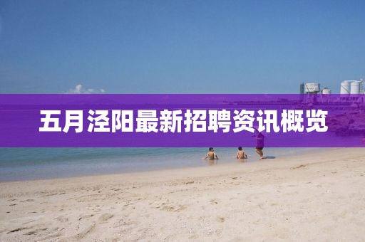 五月泾阳最新招聘资讯概览