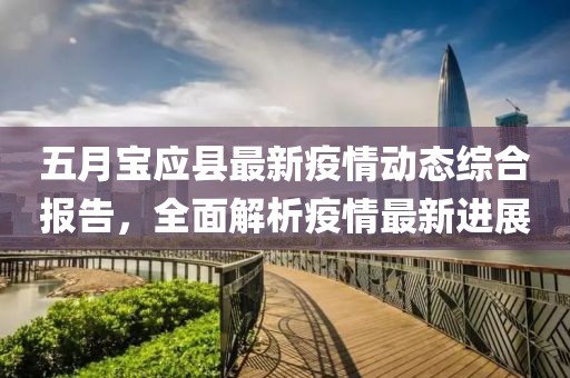 五月宝应县最新疫情动态综合报告，全面解析疫情最新进展