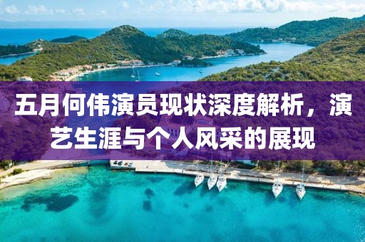 五月何伟演员现状深度解析，演艺生涯与个人风采的展现