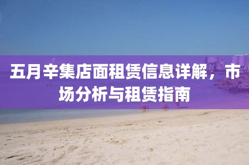 五月辛集店面租赁信息详解，市场分析与租赁指南