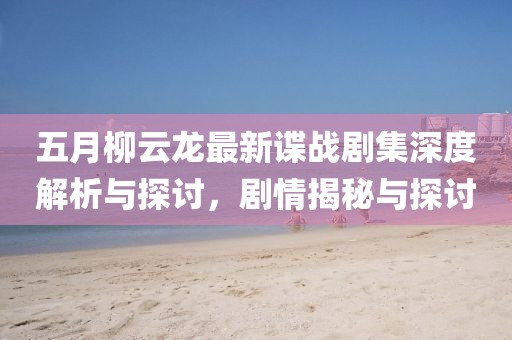 五月柳云龙最新谍战剧集深度解析与探讨，剧情揭秘与探讨