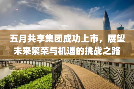 五月共享集团成功上市，展望未来繁荣与机遇的挑战之路