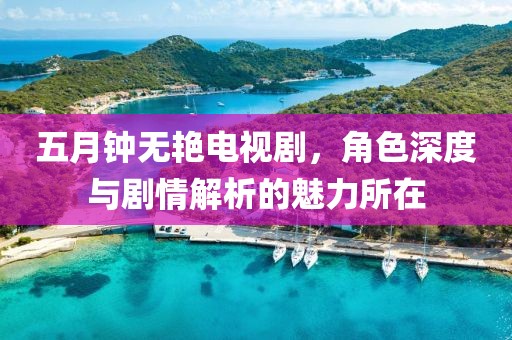 五月钟无艳电视剧，角色深度与剧情解析的魅力所在