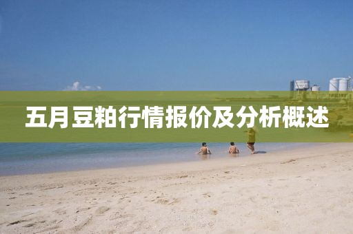 五月豆粕行情报价及分析概述