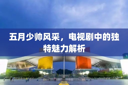 五月少帅风采，电视剧中的独特魅力解析