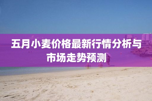 五月小麦价格最新行情分析与市场走势预测