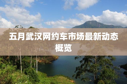 五月武汉网约车市场最新动态概览