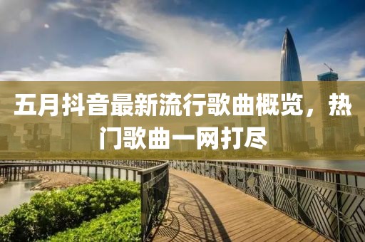 五月抖音最新流行歌曲概览，热门歌曲一网打尽