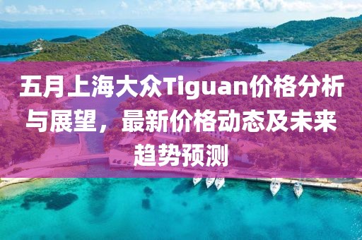 五月上海大众Tiguan价格分析与展望，最新价格动态及未来趋势预测