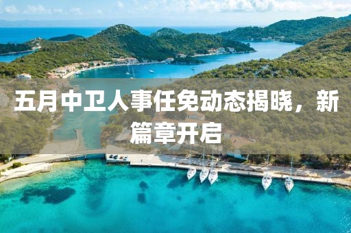 五月中卫人事任免动态揭晓，新篇章开启