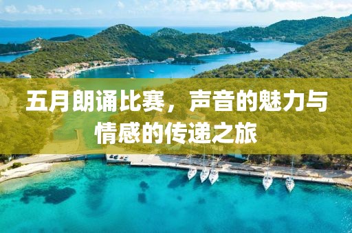 五月朗诵比赛，声音的魅力与情感的传递之旅