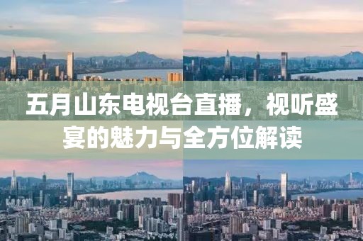 五月山东电视台直播，视听盛宴的魅力与全方位解读