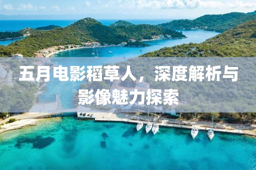五月电影稻草人，深度解析与影像魅力探索