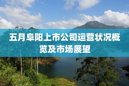 五月阜阳上市公司运营状况概览及市场展望