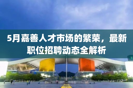 5月嘉善人才市场的繁荣，最新职位招聘动态全解析