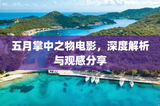 五月掌中之物电影，深度解析与观感分享