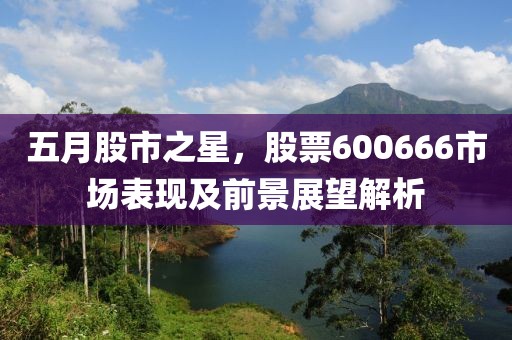 五月股市之星，股票600666市场表现及前景展望解析