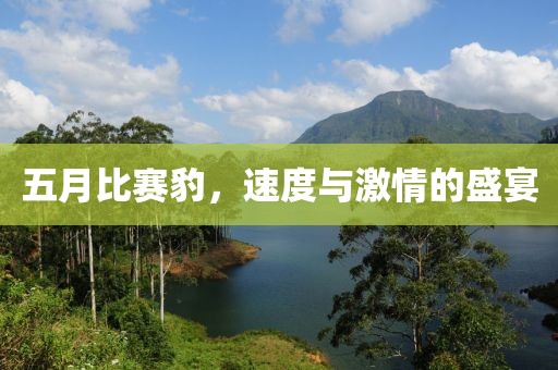 五月比赛豹，速度与激情的盛宴