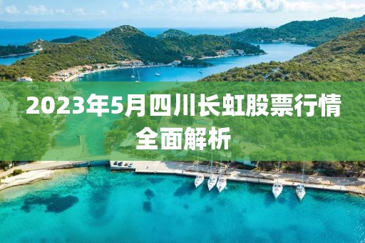 2023年5月四川长虹股票行情全面解析