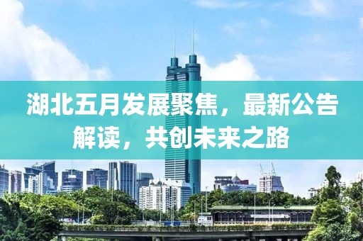 湖北五月发展聚焦，最新公告解读，共创未来之路