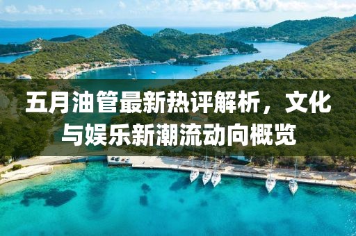 五月油管最新热评解析，文化与娱乐新潮流动向概览
