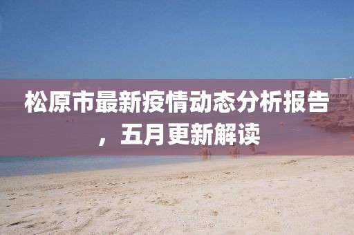 松原市最新疫情动态分析报告，五月更新解读