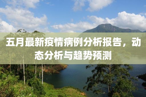 五月最新疫情病例分析报告，动态分析与趋势预测