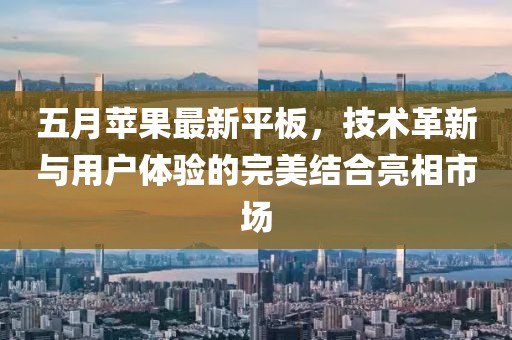 五月苹果最新平板，技术革新与用户体验的完美结合亮相市场