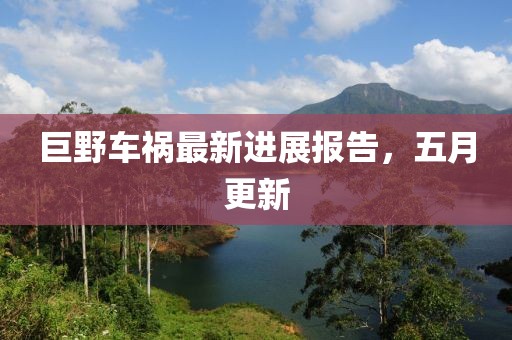 巨野车祸最新进展报告，五月更新