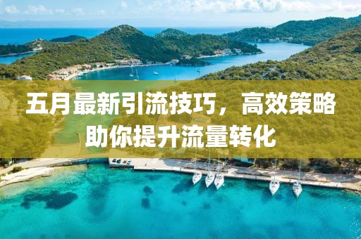 五月最新引流技巧，高效策略助你提升流量转化