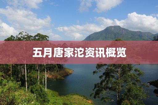 五月唐家沱资讯概览