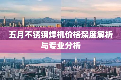 五月不锈钢焊机价格深度解析与专业分析