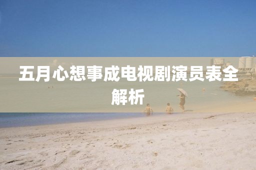五月心想事成电视剧演员表全解析